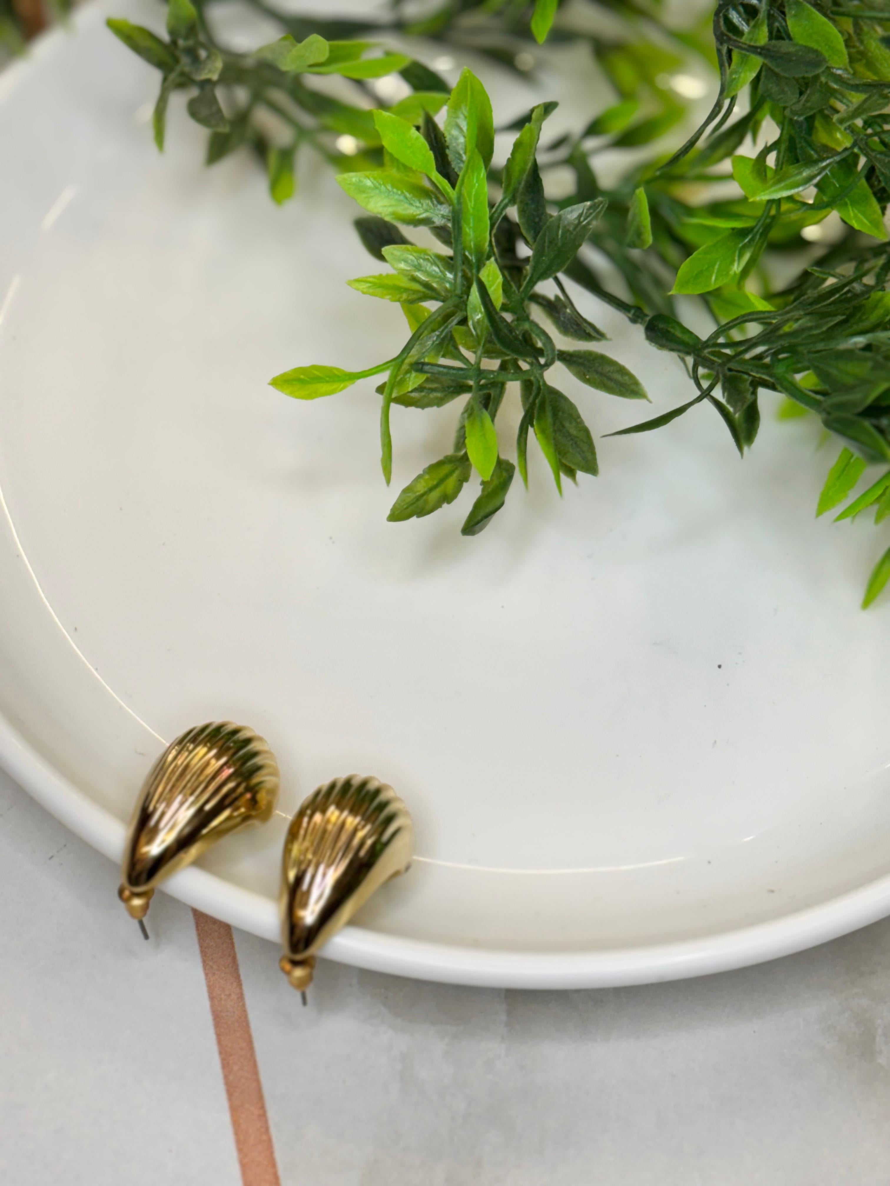 Golden shell texture stud earrings-elegant party s’ casual wear. ￼